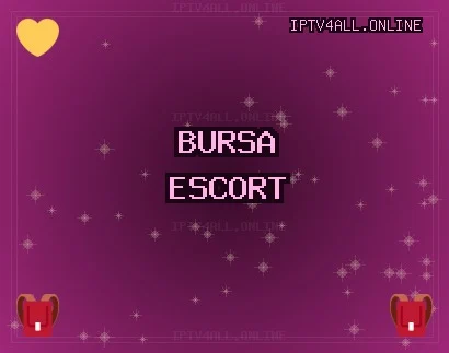 Bursa Escort: Osmangazi Escort, Yenişehir Escort, Yıldırım Escort